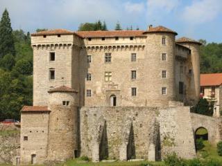 Chateau De Chalmazel Saint-Just-en-Bas Exterior foto
